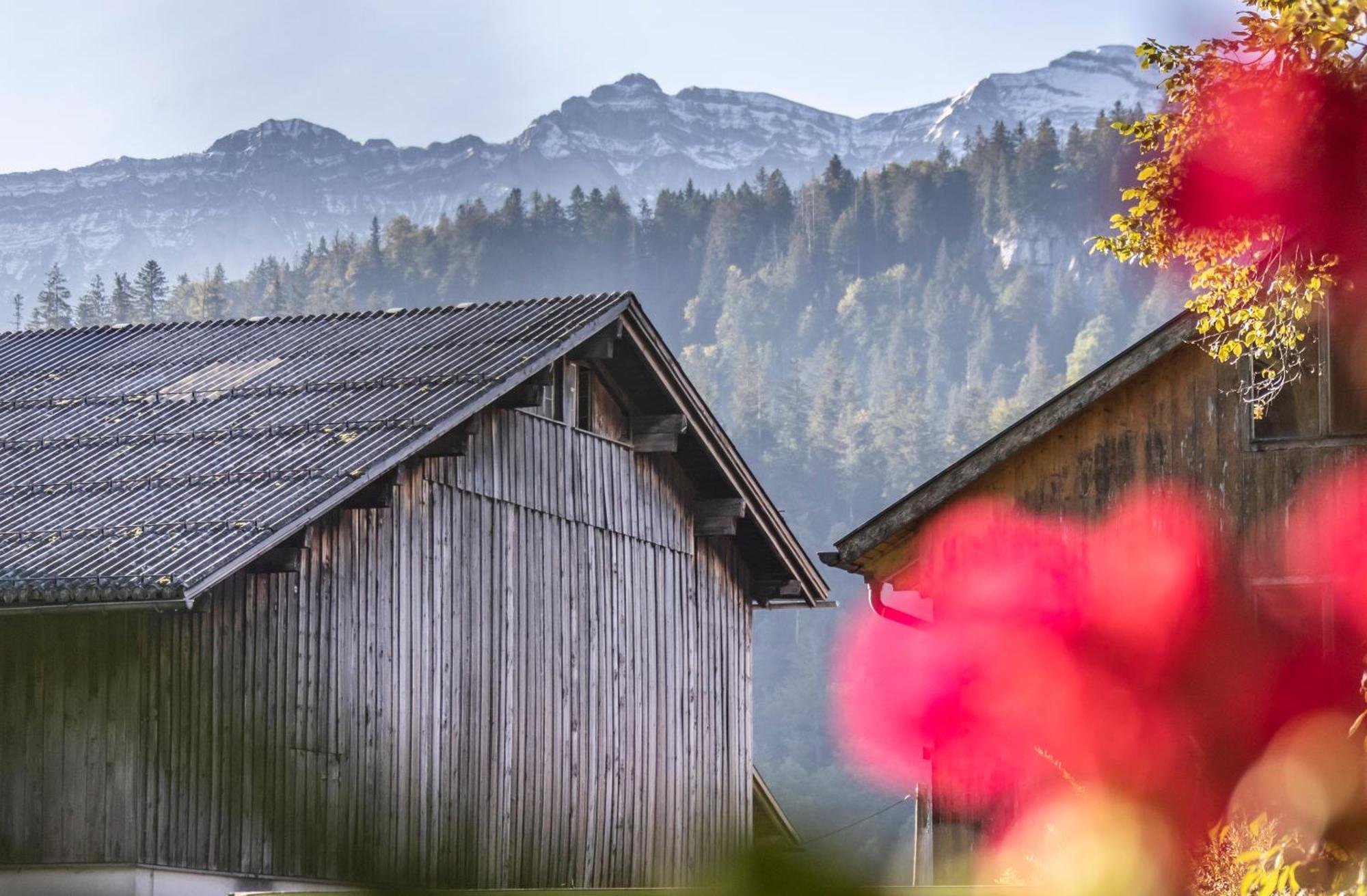 Ferienwohnung Greber Gertraud Bezau Bagian luar foto